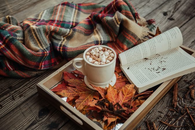 8 Cozy Fall Finds for a Warm, Collected Home