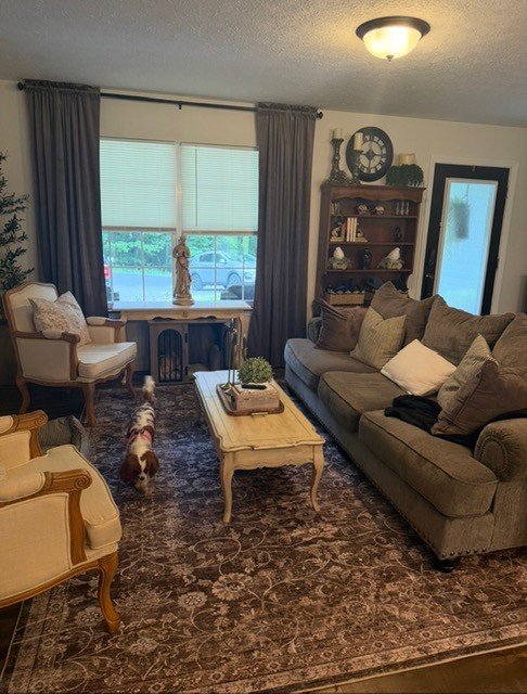 Large living area rug